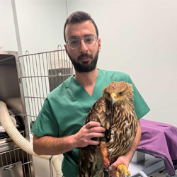 katsikonouris-athanasios